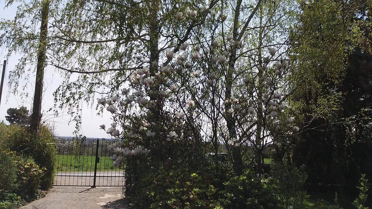Frutta Villa Cserszegtomaj Esterno foto