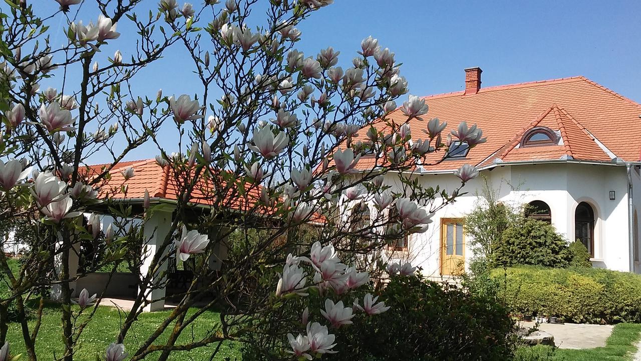 Frutta Villa Cserszegtomaj Esterno foto